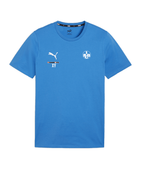 PUMA teamGOAL Casuals T-Shirt Blau F02