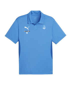 PUMA teamGOAL Poloshirt Blau F02