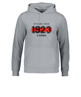 Merch Drummer 2.0 Hoody Heather Grey | #established