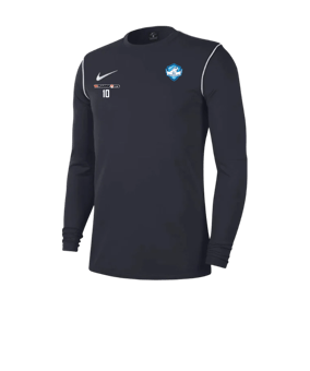 Nike Park 20 Sweatshirt Blau Weiss F451