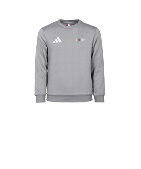 adidas Entrada 26 Sweatshirt Kids Grau