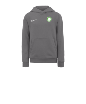 Sweat à capuche en polaire Nike Park 20 enfants Gris blanc F071