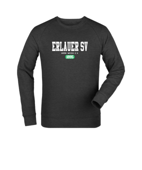 Merch Roller Sweatshirt Dark Heather Grey FC651