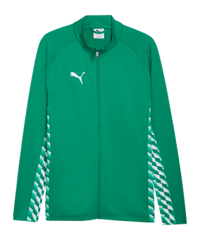 PUMA teamLIGA26 Trainingsjacke Grün F05 - gruen