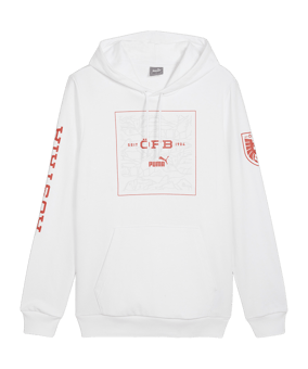 PUMA Österreich Ftbl Icons Hoody Weiss F09 - weiss