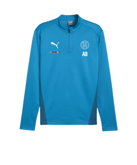 PUMA teamGOAL Training 1/4 Zip Sweatshirt Blau F02