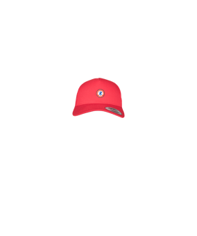 Merch 5 Panel Retro Trucker Cap Red | logo4c