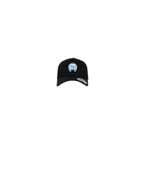 Merch 5 Panel Curved Snapback Cap Schwarz