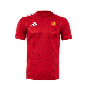 Maillot adidas équipe Icon 25 rouge 