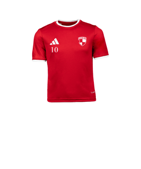 adidas Entrada 26 Trikot Kids Rot