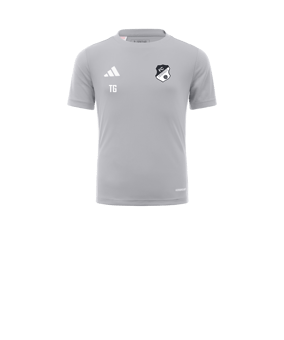 adidas Tabela 23 Trikot Kids Grau Weiss