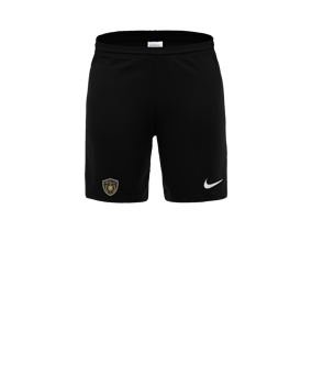 Nike Park III Court Noir C010 