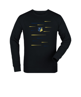 Merch Roller Sweatshirt Black | #lines