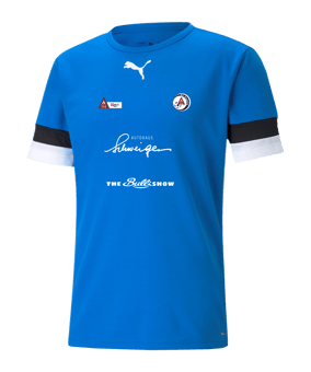 PUMA teamRISE Trikot Blau F02