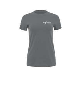 Nike Park 20 T-Shirt Damen Grau Weiss F071