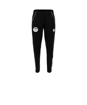 Pantalon de Training adidas Tiro 25 Competition femmes noirs