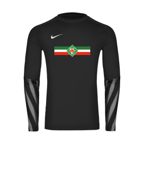 Nike Park V Trikot langarm Schwarz F010
