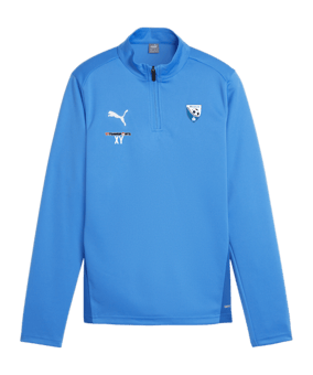 PUMA teamGOAL Training 1/4 Zip Sweatshirt Kids F02