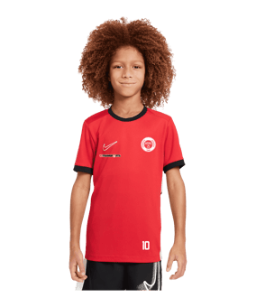 Nike Academy 25 Trainingsshirt Kids Rot F657