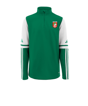adidas Squadra 25 HalfZip Sweatshirt Grün