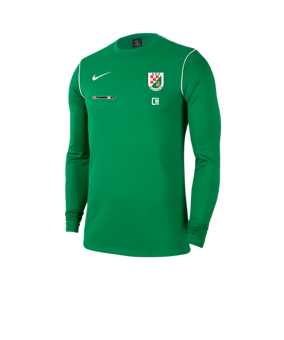 Nike Park 20 Training Sweatshirt Grün F302 
