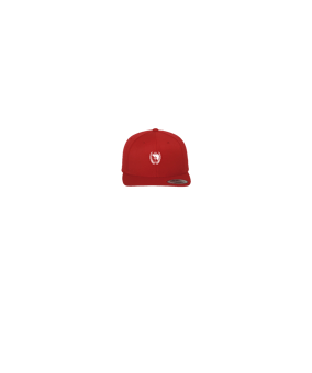 Merch 5 Panel Classic Snapback Cap Red Green