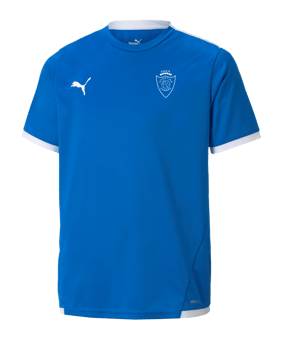 PUMA teamLIGA Maillot Niños Azul F02 