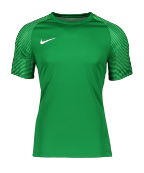 Nike Academy Trikot Grün Weiss F302 - gruen