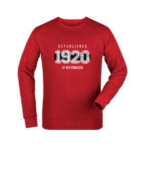 Merch Roller Sweatshirt Red | #established