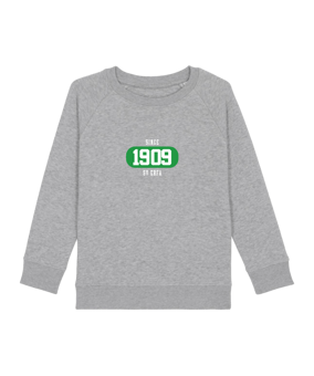 Merch Mini Scouter Sweatshirt Kids H. Grey FC250