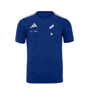 adidas Team Icon 25 Trikot Hellblau