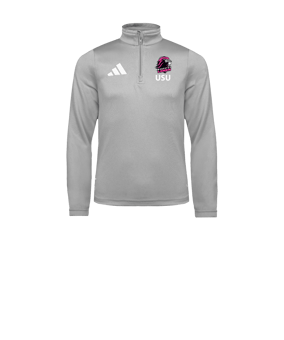 adidas Entrada 26 Training Sweatshirt Kids Grau