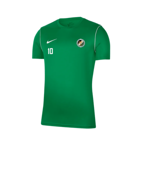 Nike Park 20 Training Shirt Grün F302