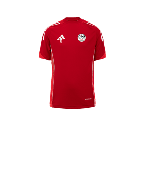 adidas Tiro 25 Competition Maillot Enfants Rouge 