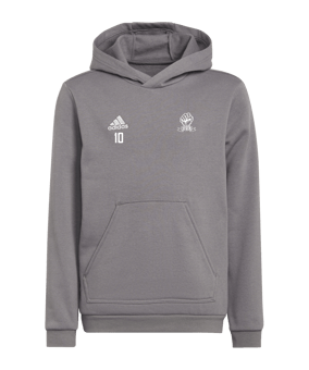 adidas Entrada 22 Hoody Kids Grau