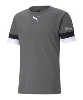 PUMA teamRISE Trikot Grau F13