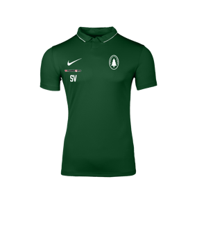 Nike Park 26 Polo Grün F302