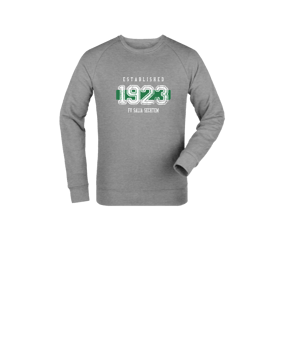 Merch Mini Changer 2.0 Sweatshirt Kids Heather Grey | #established