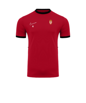 Nike Academy 25 Formation Rouge C657