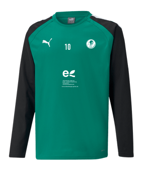 PUMA teamLIGA Sweatshirt Kids Grün F05