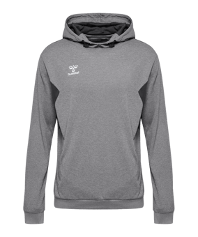 Hummel hmlAuthentic Poly Hoody Grau F2006 - grau