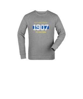 Merch Mini Changer 2.0 Sweatshirt Kids Heather Grey FC250