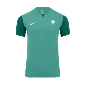 Maillot Nike Trophy V turquoise F354 