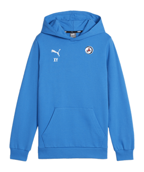PUMA teamGOAL Casuals Hoody Kids Blau F02