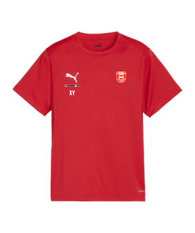 PUMA teamGOAL Trikot Kids Rot F01