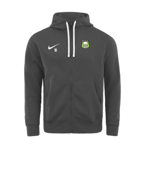 Veste à capuche Nike Park 20 Fleece grise F071 