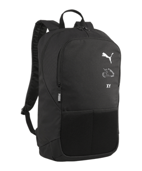 PUMA teamGoal Rucksack Schwarz F01