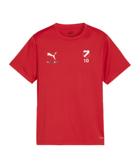 PUMA teamGOAL Trikot Kids Rot F01