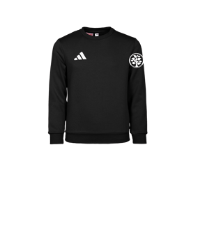 adidas Entrada 26 Sweatshirt Kids Schwarz