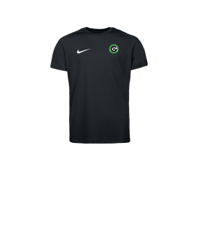 Nike Park VIII Trikot Kids Schwarz F010